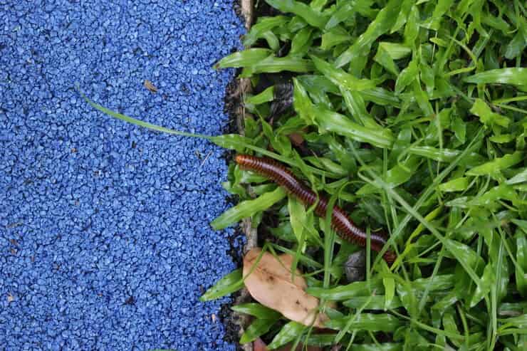 تصویر 4 از خرید و فروش کود سه بیست اصل با شرایط فوق العاده